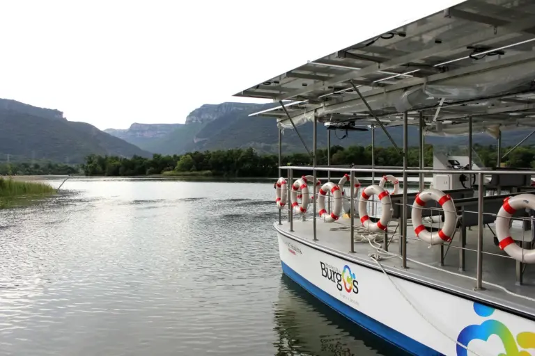 Navegando entre aves: Birdwatching desde el Barco Electrosolar