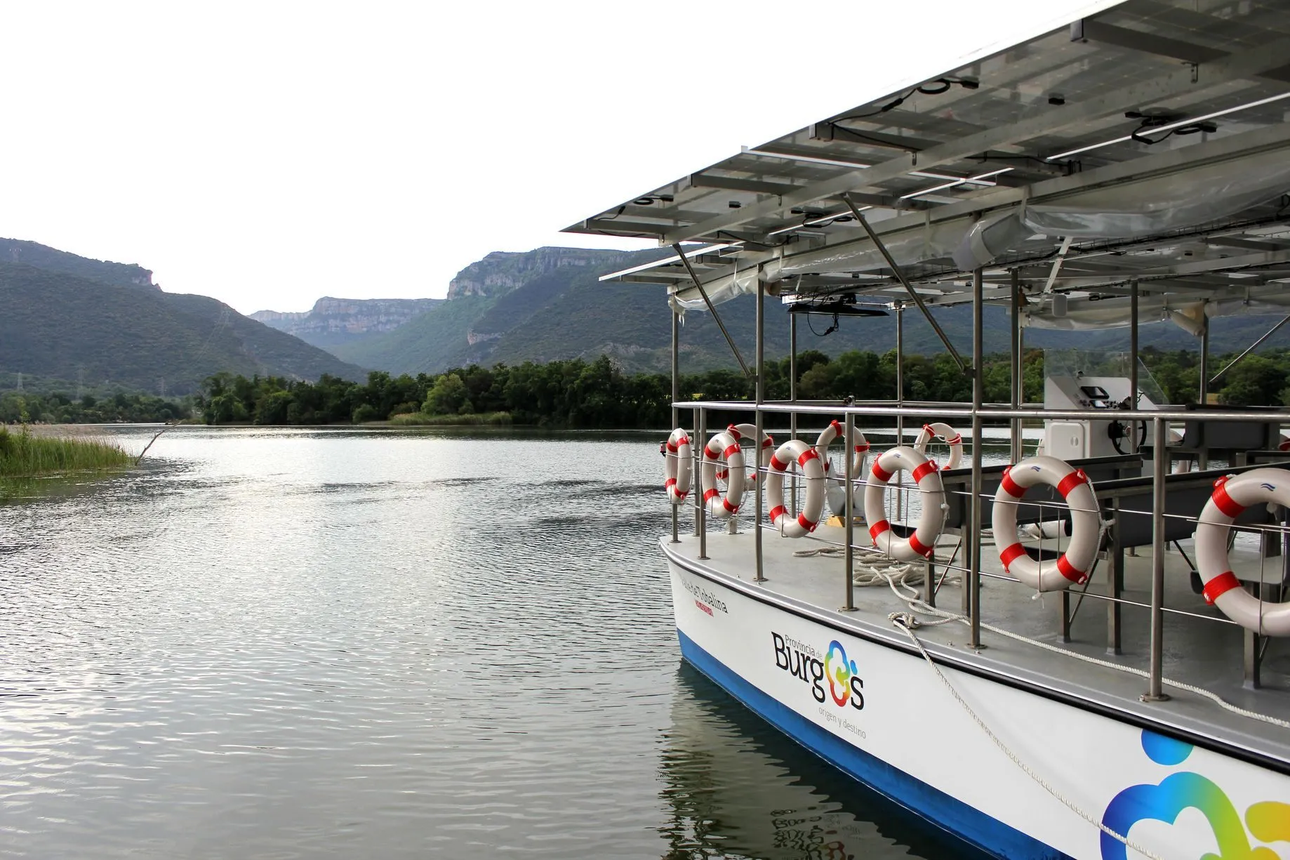 Navegando entre aves: Birdwatching desde el Barco Electrosolar
