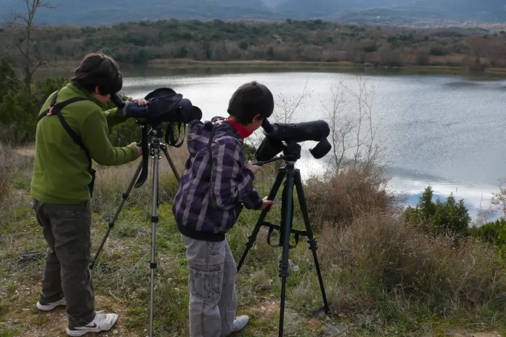 Navegando entre aves: Birdwatching desde el Barco Electrosolar